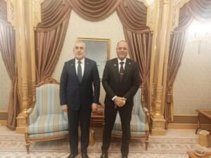 وزير العمل المصري يبحث مع نظيره التركي توفير عمالة مدربة لسوق العمل التركي