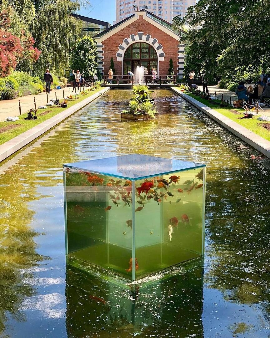 أجمل وأندر نباتات العالم في قلب موسكو.. مزرعة الأعشاب الطبية