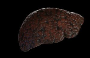 اختراق علمي غير مسبوق في مجال تجديد  عضيات الكبد وعلاج أمراضه