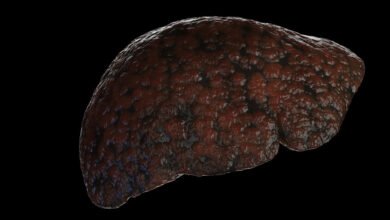 اختراق علمي غير مسبوق في مجال تجديد  عضيات الكبد وعلاج أمراضه