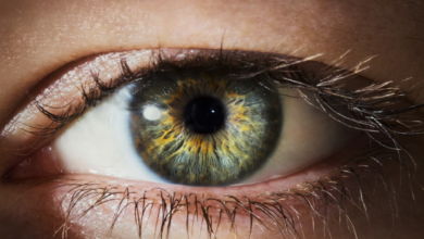 علماء يطورون علاجًا يعيد البصر المفقود.. معجزة طبية