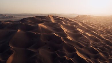 اكتشاف مدهش يكشف طبيعة الربع الخالي قبل 9 آلاف عام!