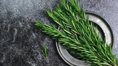 العشبة المنسية للراحة النفسية