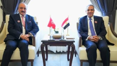 وزيرا خارجية مصر وتونس  يلتقيان في بغداد