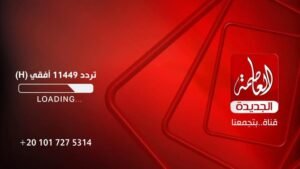 انطلاق قناة العاصمة: رؤية جديدة للإعلام في مصر