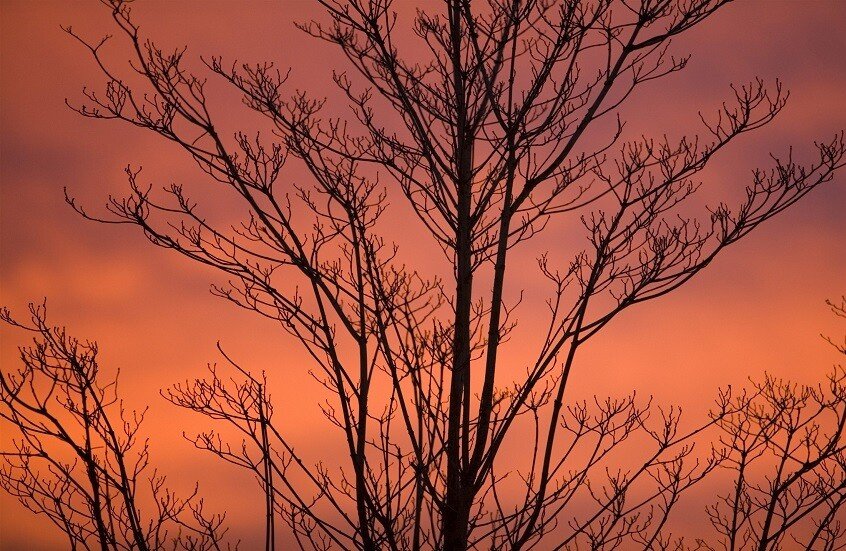 "الشتاء النووي".. شمس، لا طعام الكابوس القادم