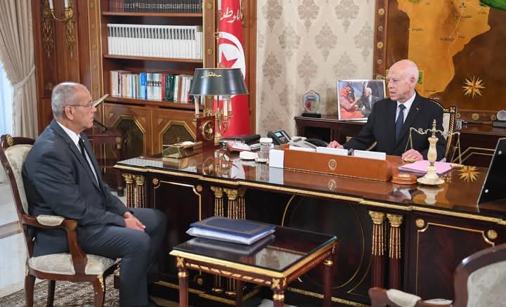 الرئيس قيس سعيّد يستقبل بقصر قرطاج  وزير البيئة