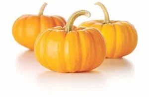 فوائد اليقطين (قرع العسل)