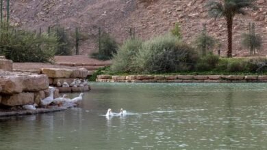 الرياض.. شعيب غذوانة".. وجهة سياحية مفتوحة تستقطب الزوّار خلال موسم الصيف