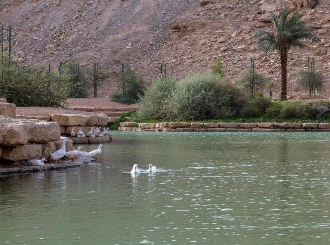 الرياض.. شعيب غذوانة".. وجهة سياحية مفتوحة تستقطب الزوّار خلال موسم الصيف