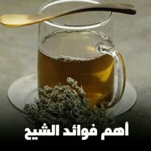 نبات الشيح وأهم فوائده