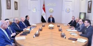 الرئيس عبد الفتاح السيسي يستقبل الرئيس التنفيذي لشركة "سكاتك" النرويجية