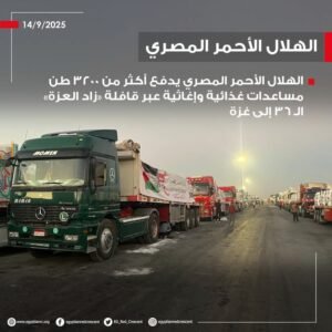 الهلال الأحمر المصري يدفع أكثر من 3200 طن مساعدات غذائية وإغاثية عبر قافلة «زاد العزة» الـ 36 إلى غزة