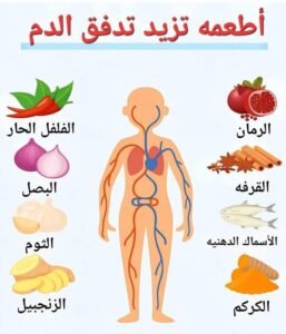أطعمة مفيدة صحية للسيدات فوق الخمسين عام