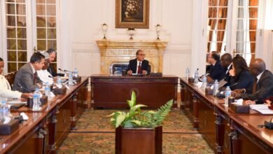 وزير الخارجية يلتقي بممثلي منظمات ومكاتب الاتحاد الأفريقي في مصر