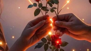 لستِ وحدك Non sei sola