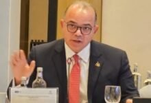 السيرة الذاتية للدكتور محمد فريد صالح وزير الاستثمار