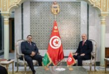 وزير الخارجية يستقبل المدير التنفيذي لمركز التميّز الإفريقي للأسواق الشاملة