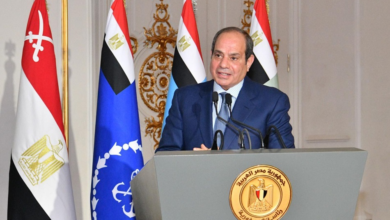 في تحليل لوزارة الدولة للإعلام: الرئيس السيسي حدد عناصر الموقف المصري.. احتواء التصعيد ودعم الأشقاء