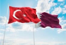 مصر تعزي قطر وتركيا في حادث سقوط طائرة روحية