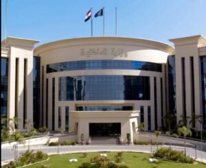 الداخلية تكشف تفاصيل إحباط مخطط إرهابي استهدف الطائرة الرئاسية