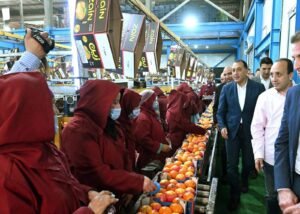 رئيس الوزراء يتفقد محطة الصواف لتعبئة الموالح والحاصلات الزراعية